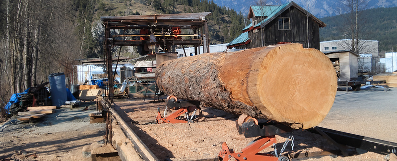 Custom mini sawmill