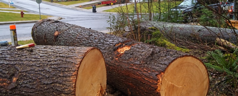 Squamish yard salvage