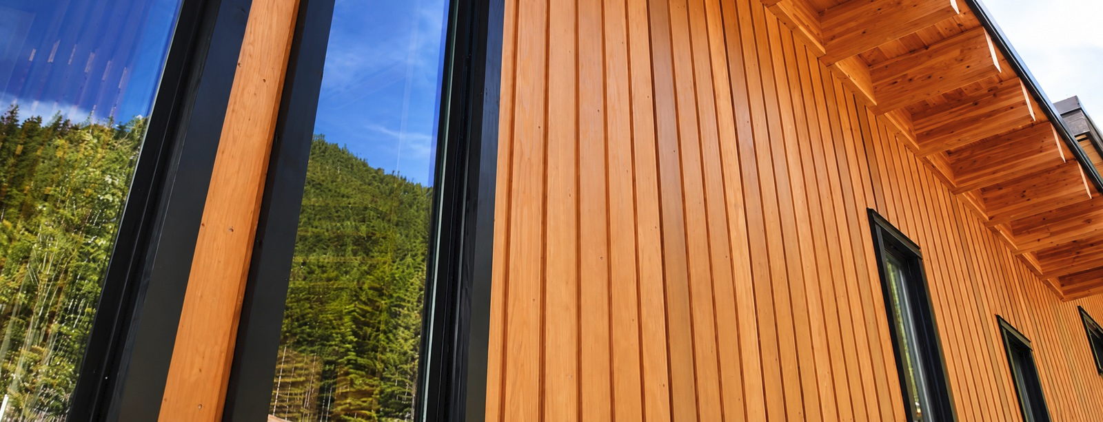 Cedar siding detail