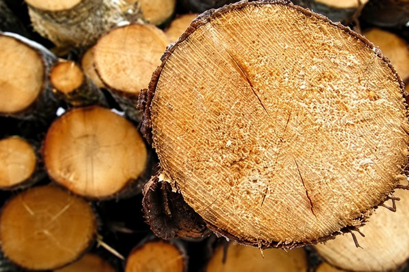 Sustainably harvested timber
